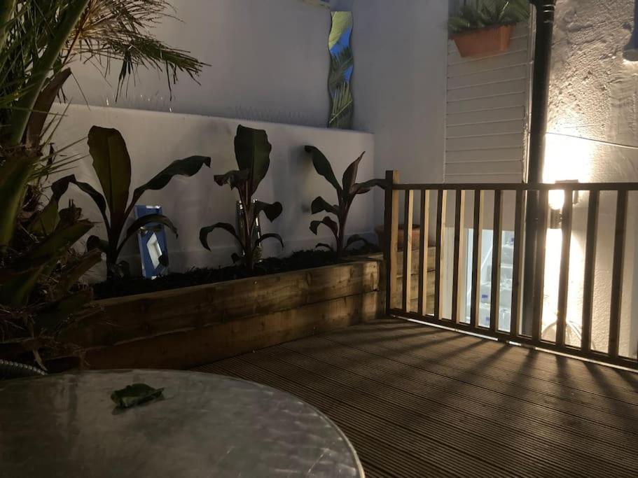 شقة Brighton Palms المظهر الخارجي الصورة