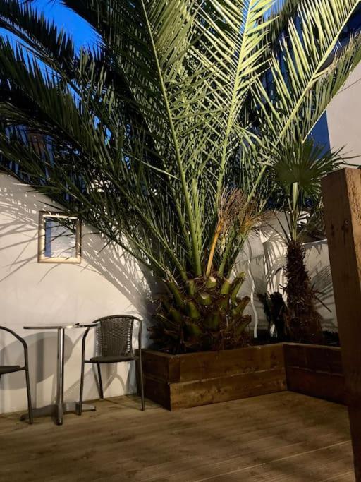 شقة Brighton Palms المظهر الخارجي الصورة